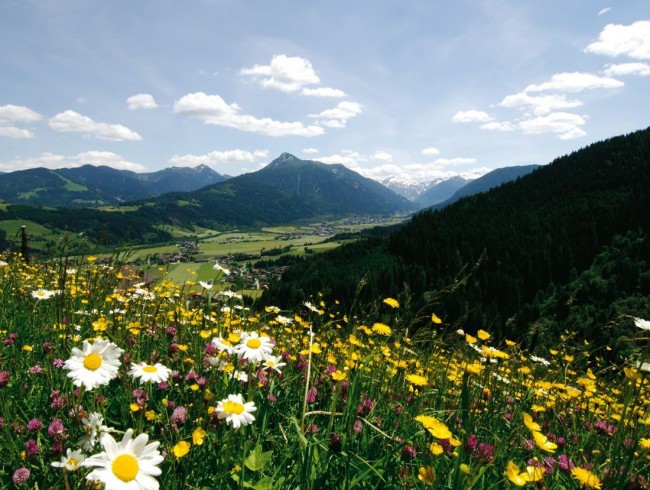 Zentral und doch im Grünen gelegen © Flachau Tourismus