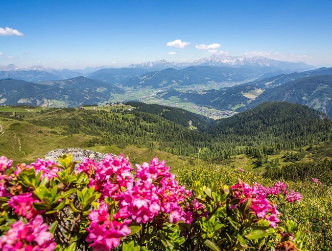 Urlaub im Appartementhaus Hartsleben in Flachau © Flachau Tourismus